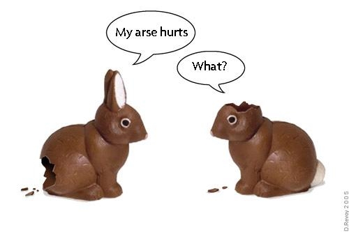 easter bunnies. The Easter Bunnies!